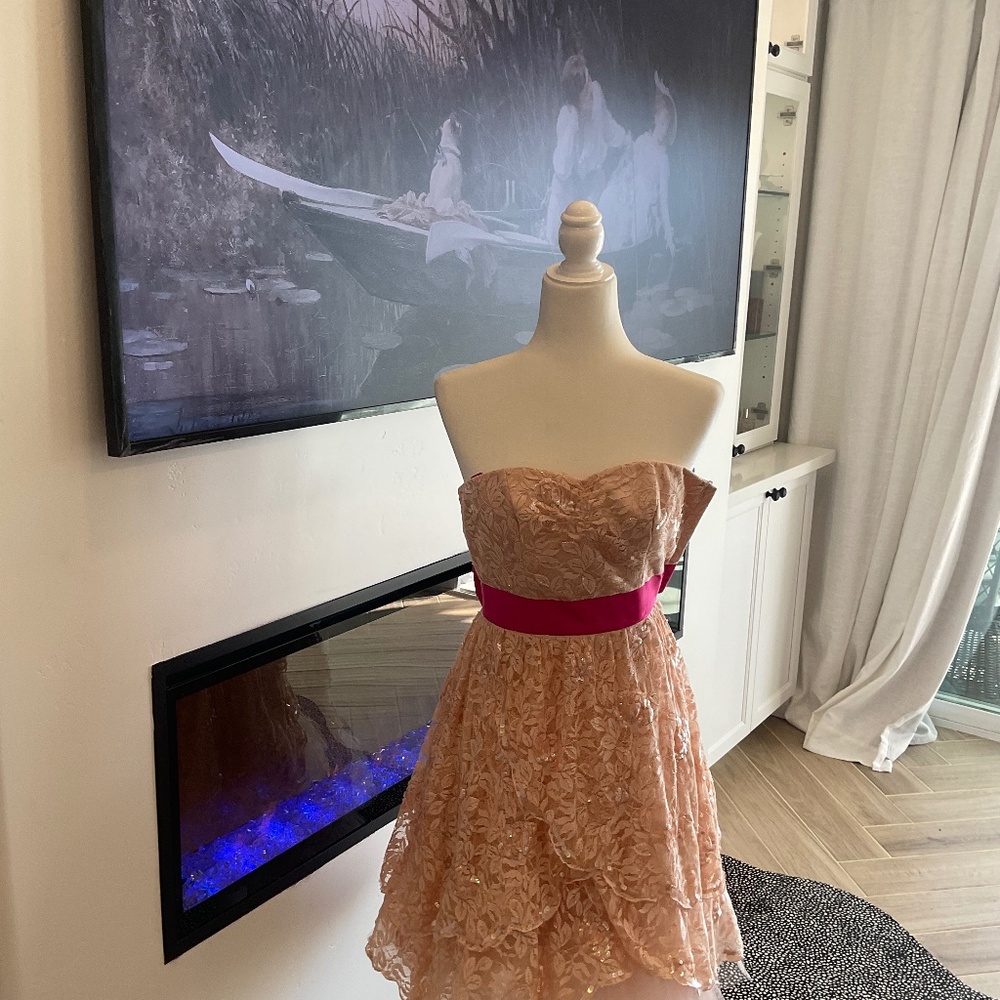 Valentine’s Day 💕Vintage Lace Pink Betsy Johnson